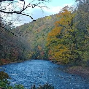 Meet your Posher, Scott